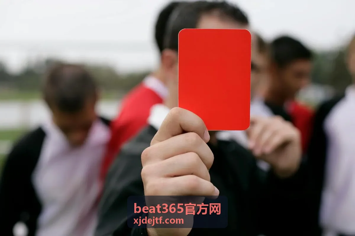 beat365官方网 首次使用入口核对指南配图